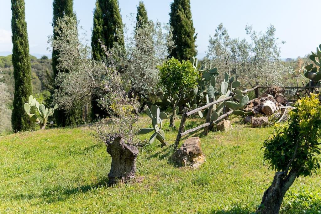 Agriturismo De Santis Castiglioncello Eksteriør bilde