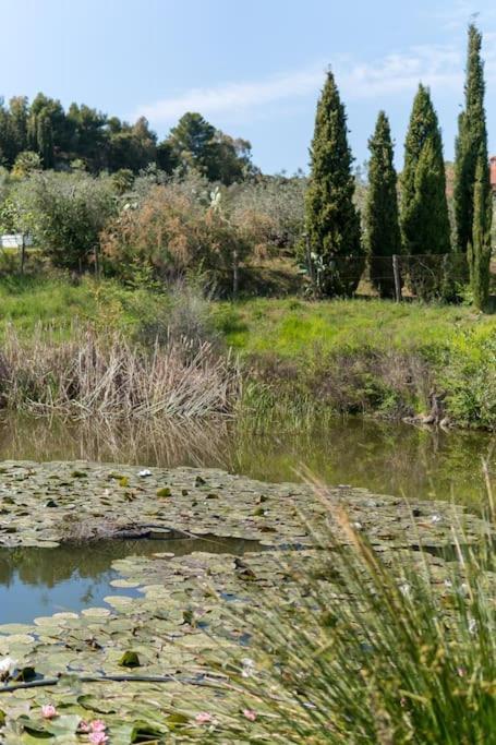 Agriturismo De Santis Castiglioncello Eksteriør bilde