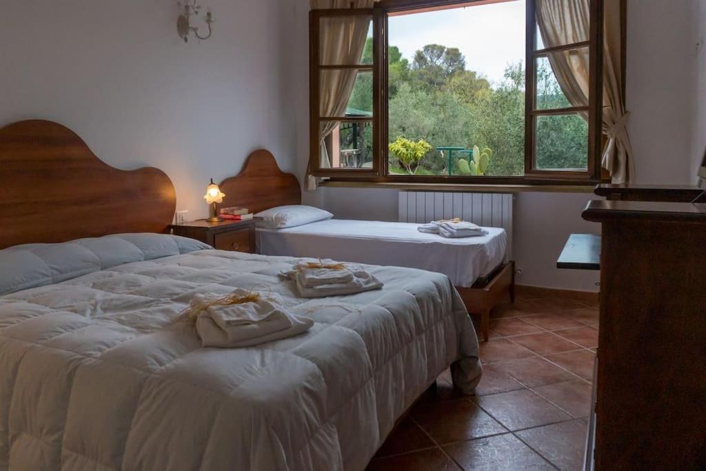 Agriturismo De Santis Castiglioncello Eksteriør bilde